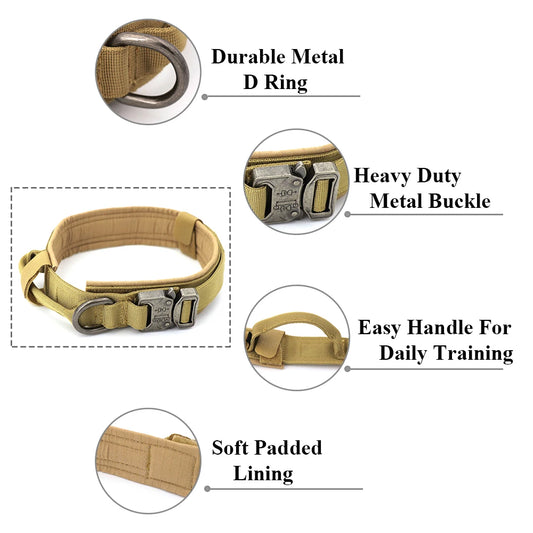 Dog Training Collar