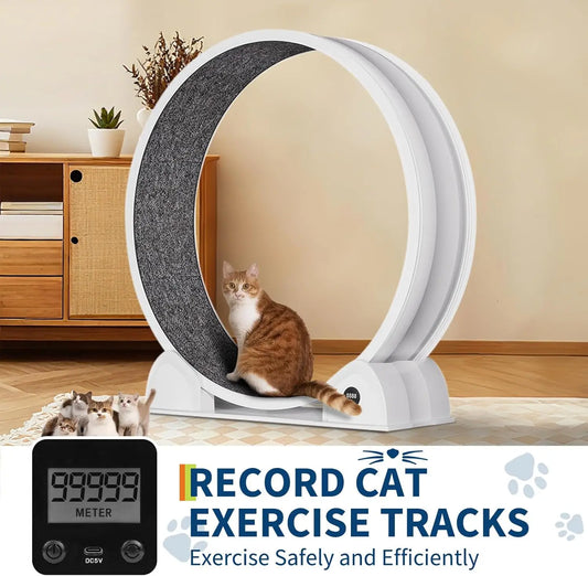 Cats Treadmill with Pedometer Running Wheel