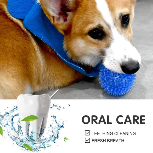 Pet Squeaky Tooth Cleaning Chew Toy Thorn Ball