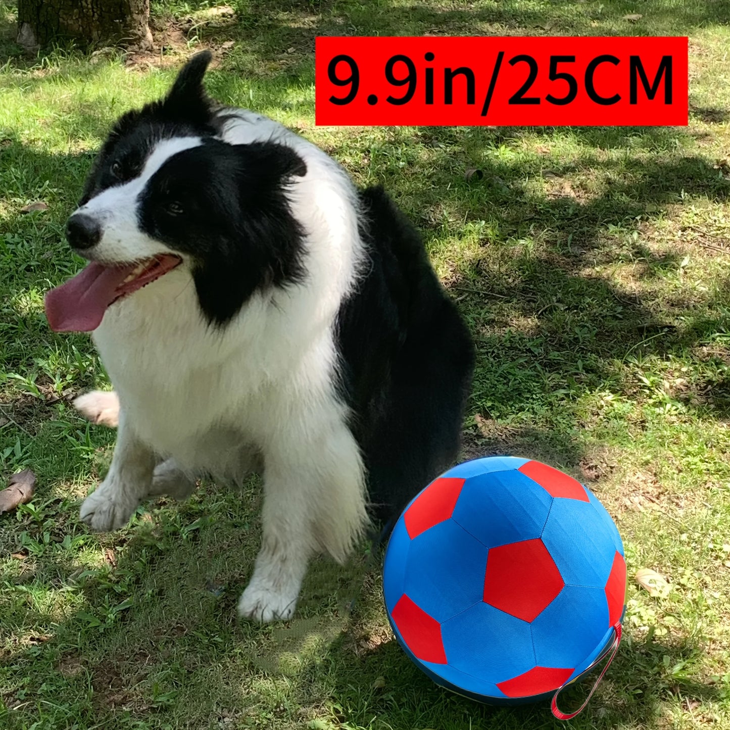 Giant Grazing Ball for Dogs And Horses