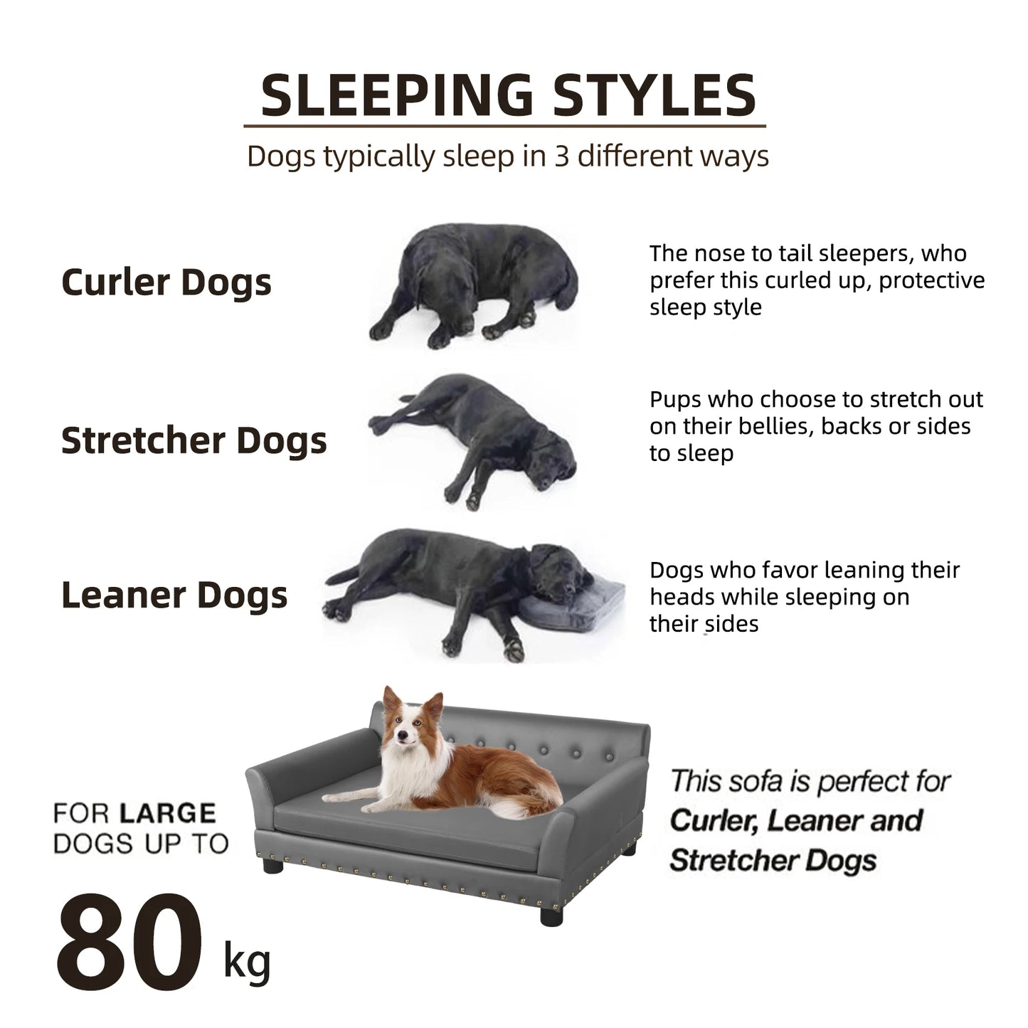 Lg Dog Bed Sofa, Microfiber with Removable Cushion