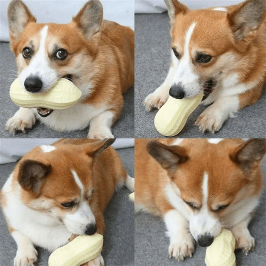 Interactive Dog Chew Toy