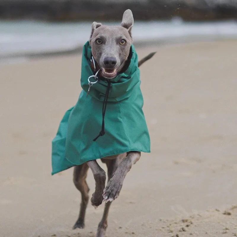 Waterproof Dog Raincoat for Outdoor Walking