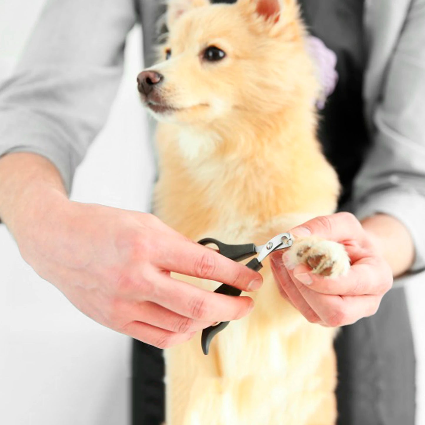 Professional Pet Nail Clippers