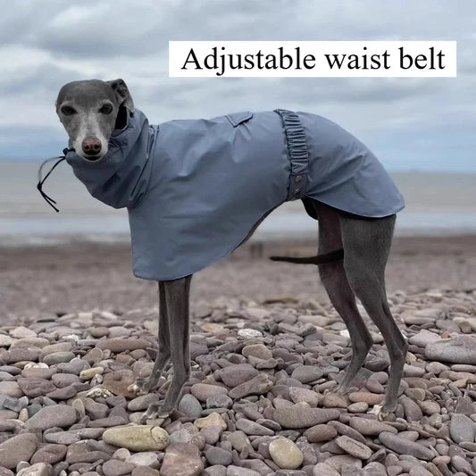 Waterproof Dog Raincoat for Outdoor Walking