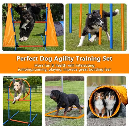 Complete Dog Agility Course Kit with Tunnel Jumps Weave Poles Pause Box Training Tools