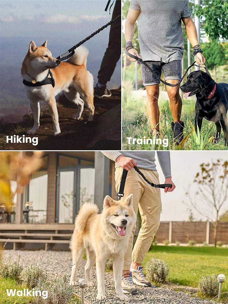 Adjustable Quick Release Dog Leash with Control Handle