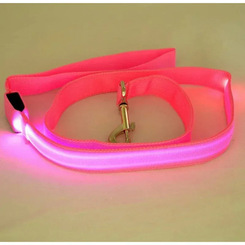 Luminous Pet Safety Leash