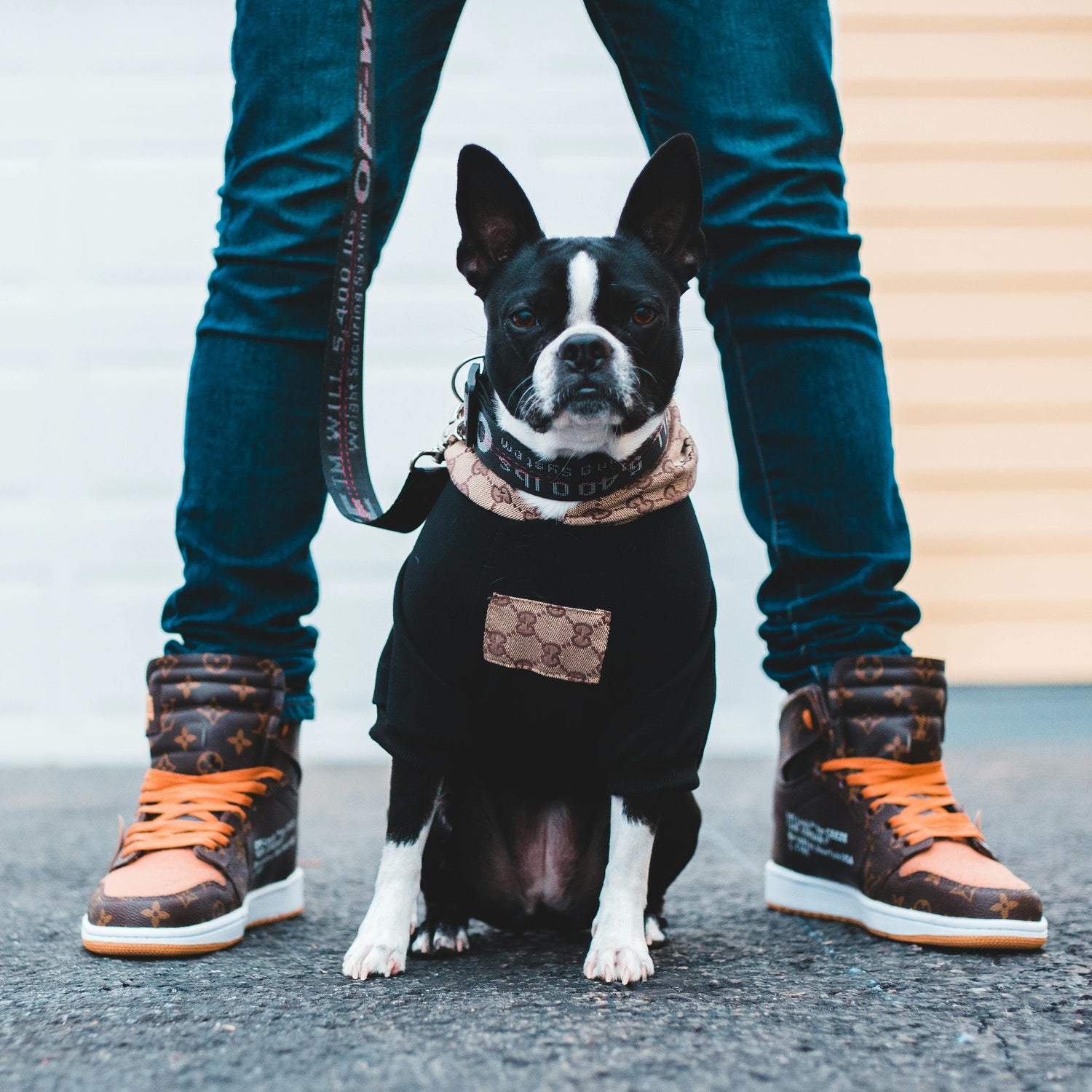 Collars, Leashes, & Apparel