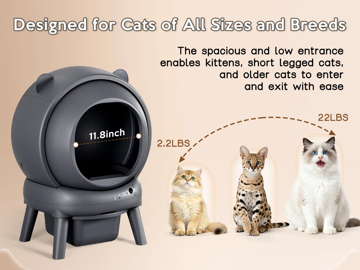 Self-Cleaning Litter Box for Multi-Cat Households.