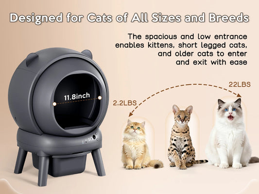 Self-Cleaning Litter Box for Multi-Cat Households.