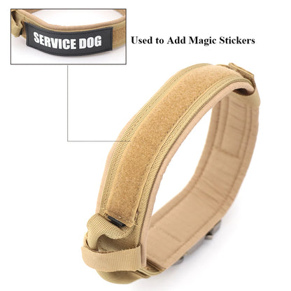 Dog Training Collar