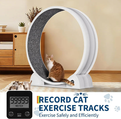 Cats Treadmill with Pedometer Running Wheel