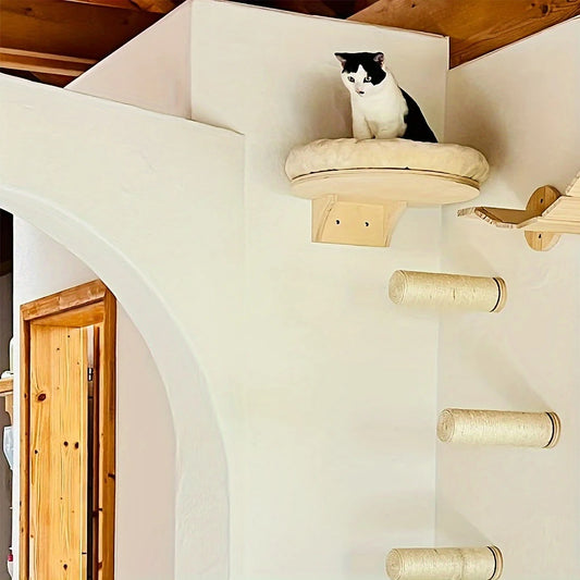 Cat Wall Mounted Climbing Ladder