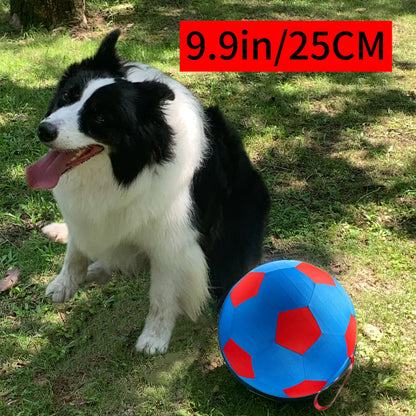 Giant Grazing Ball for Dogs And Horses