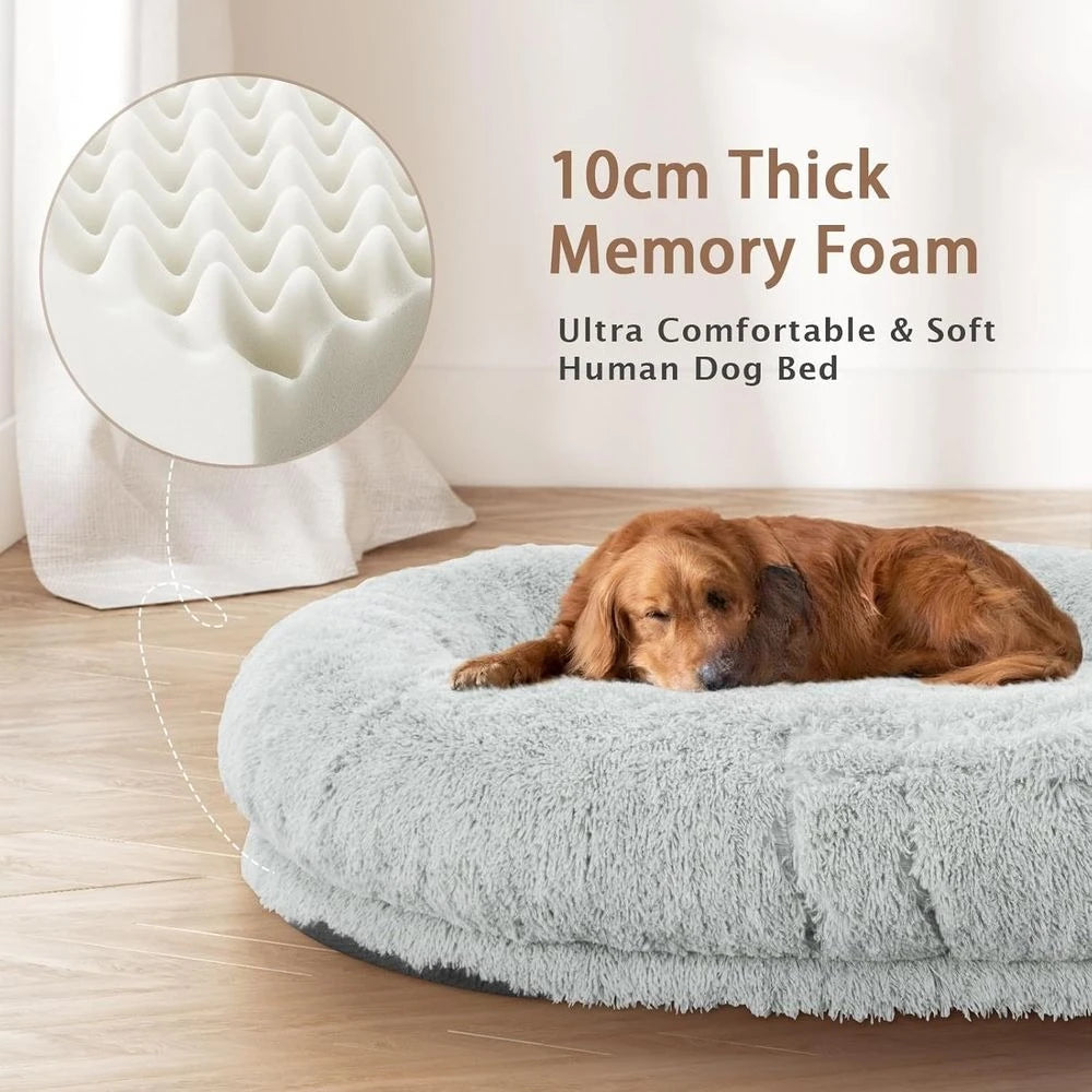 Oversized Memory Foam Dog Bed with Pillow