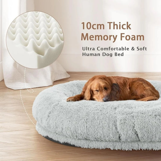 Oversized Memory Foam Dog Bed with Pillow