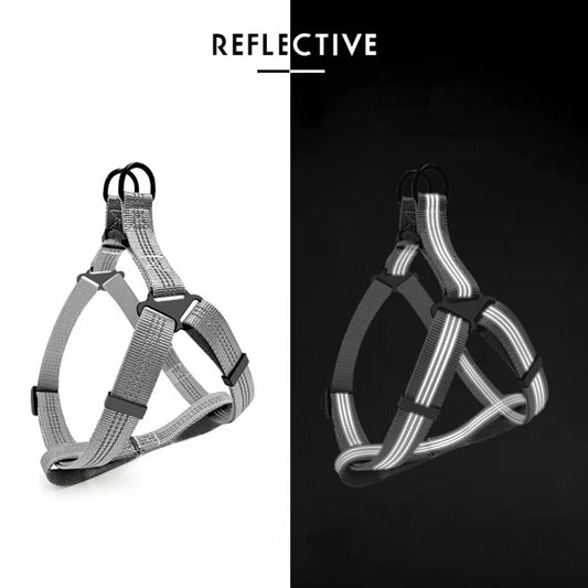 Adjustable Dog Harness