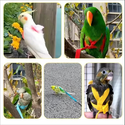 Parrot Anti-bite Training Harness