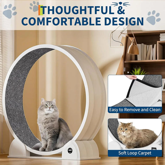 Cats Treadmill with Pedometer Running Wheel
