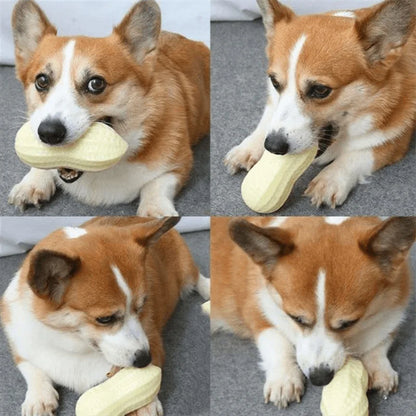 Interactive Dog Chew Toy