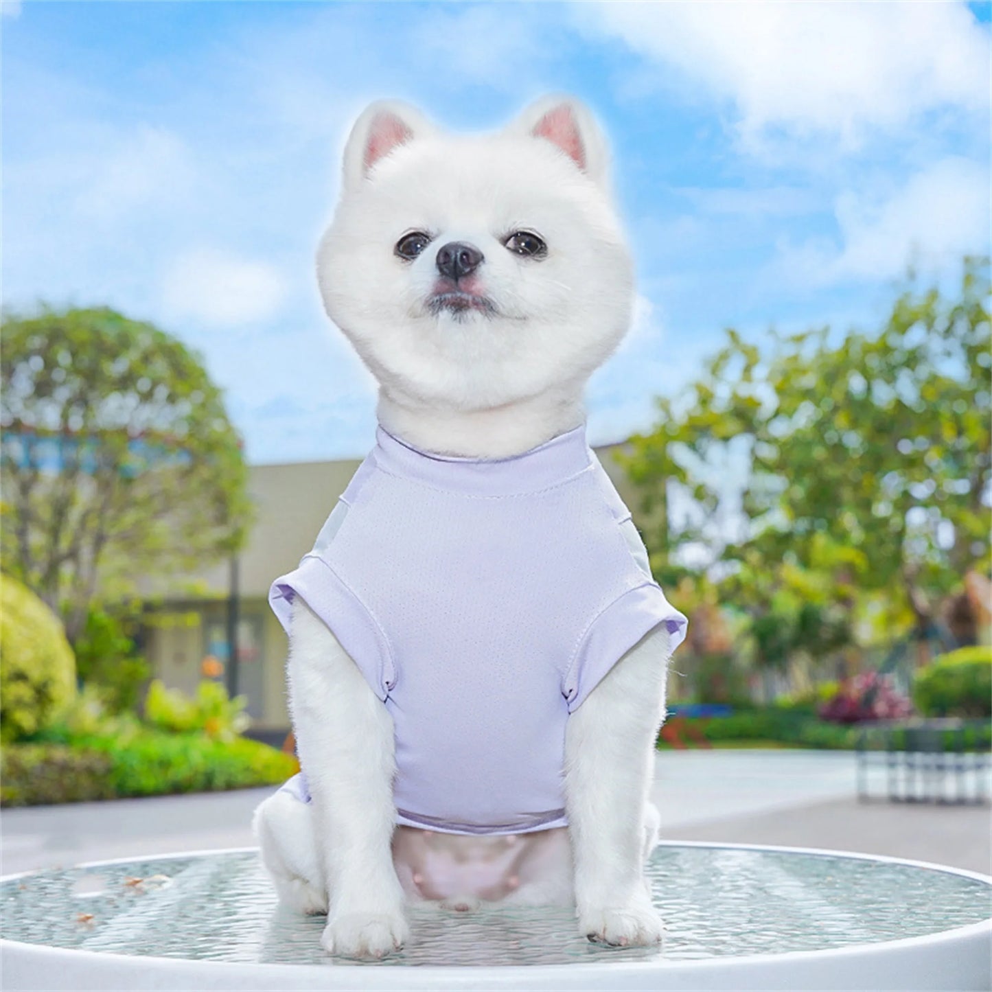 Breathable Cooling Dog T-Shirt