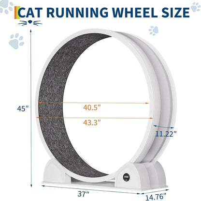 Cats Treadmill with Pedometer Running Wheel
