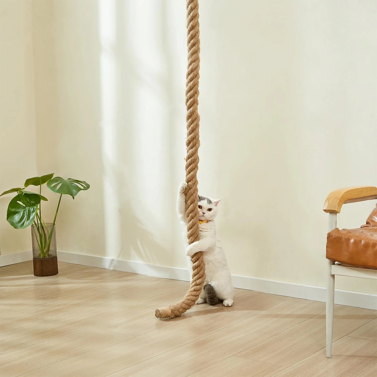 Cat Sisal Climbing Rope