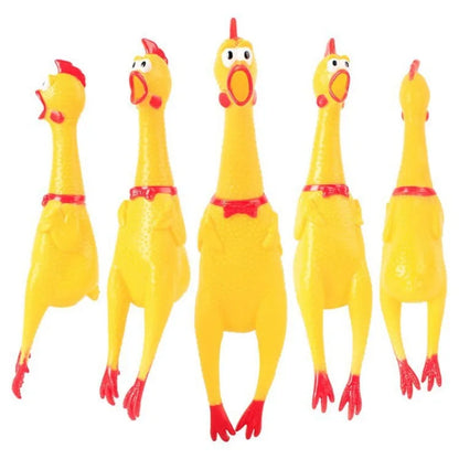 Funny Chicken Squeaker Chew Toy