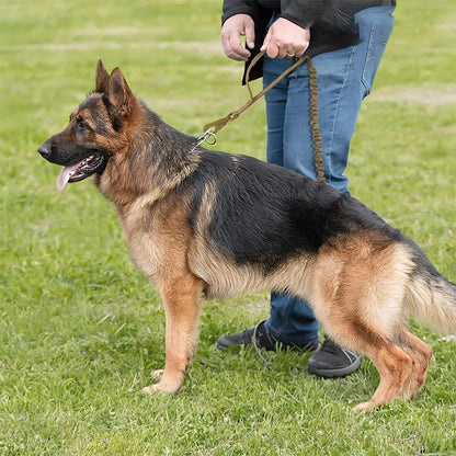 Adjustable Quick Release Dog Leash with Control Handle