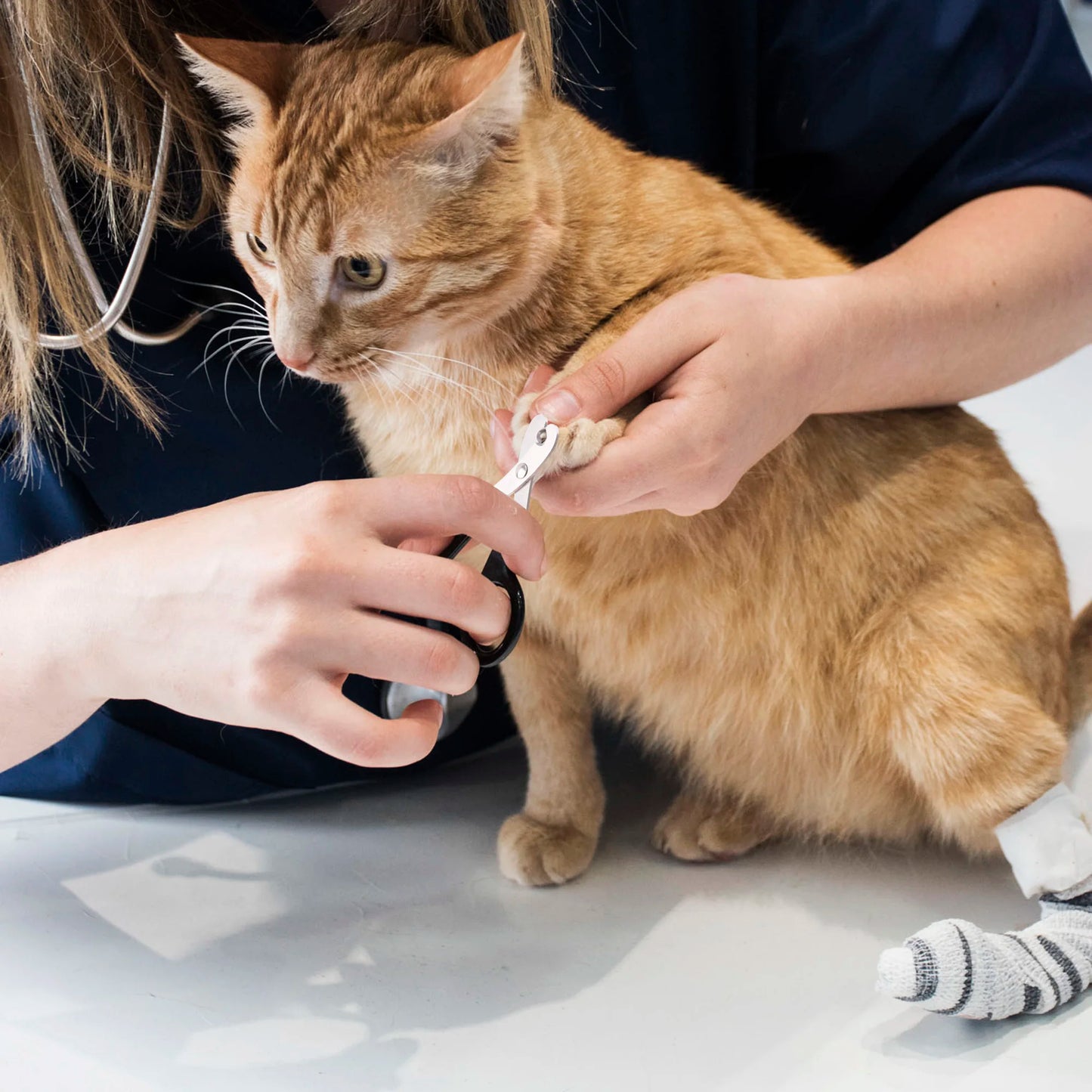 Professional Pet Nail Clippers