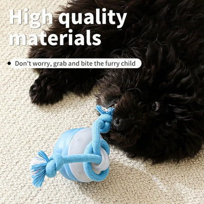 Smart Pet Ball With Ropes Interactive Self Play