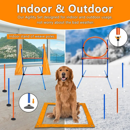 Complete Dog Agility Course Kit with Tunnel Jumps Weave Poles Pause Box Training Tools