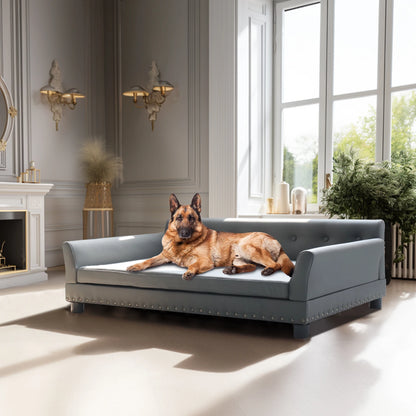 Pet Bed for Medium and Large Dogs, Modern Dog Sofa