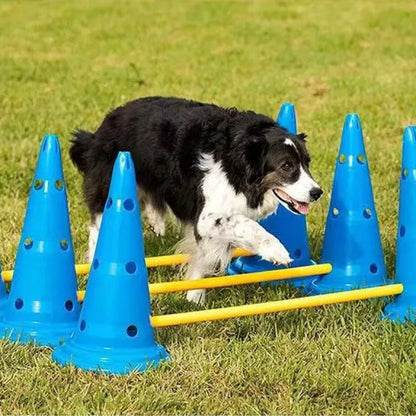 Pet Agility Training Set