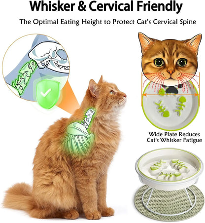 Elevated Slow Feeder Bowl for Cats and Dogs