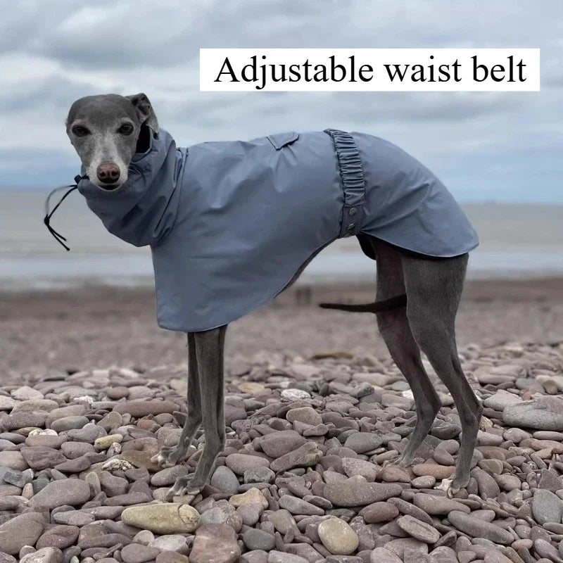 Waterproof Dog Raincoat for Outdoor Walking