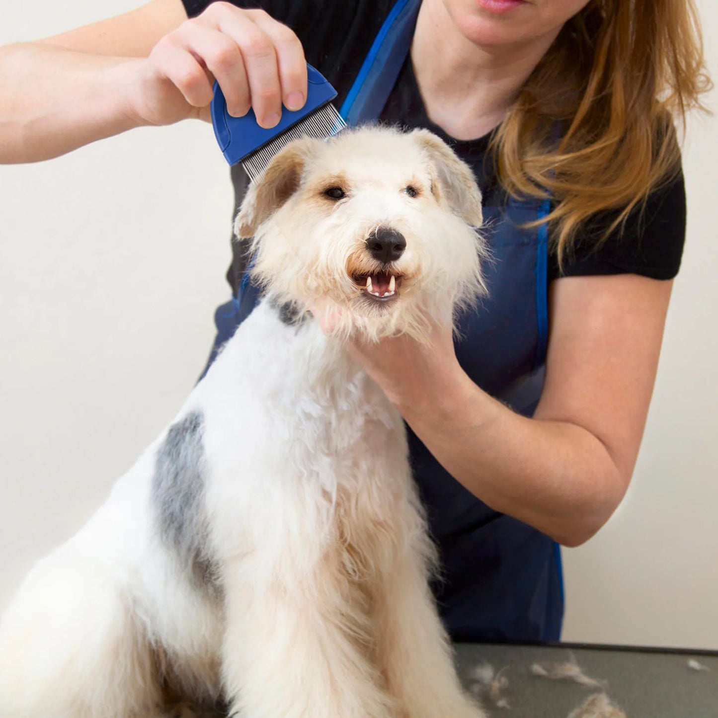 Flea Comb For Pets