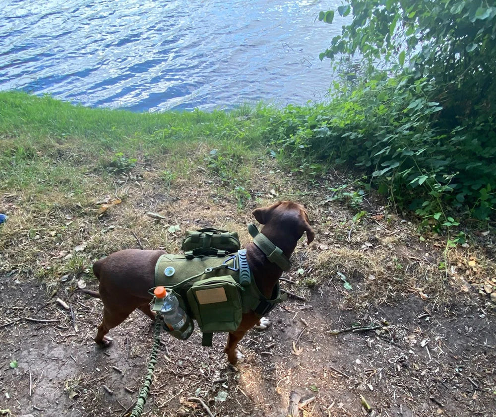 Large Dog Harness Leash Bags Patches Set
