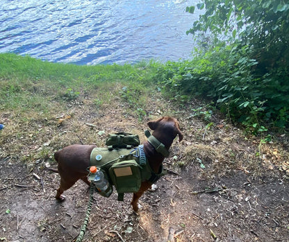 Large Dog Harness Leash Bags Patches Set