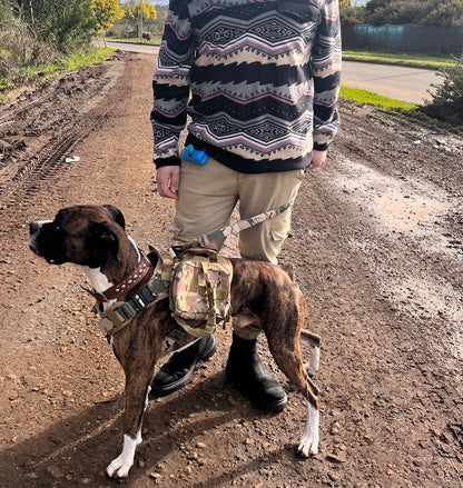 Large Dog Harness Leash Bags Patches Set