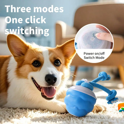 Smart Pet Ball With Ropes Interactive Self Play