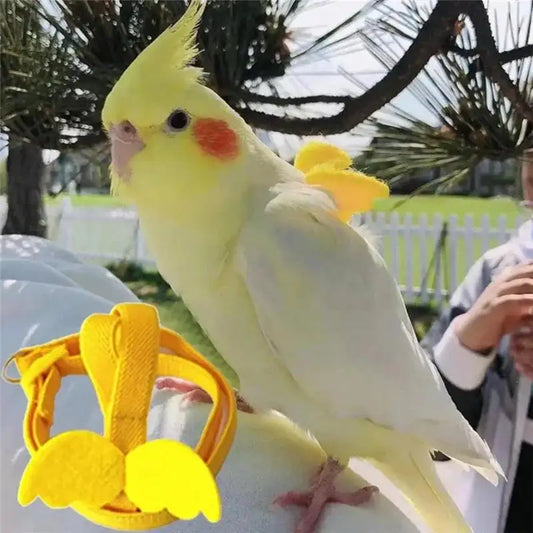 Parrot Anti-bite Training Harness