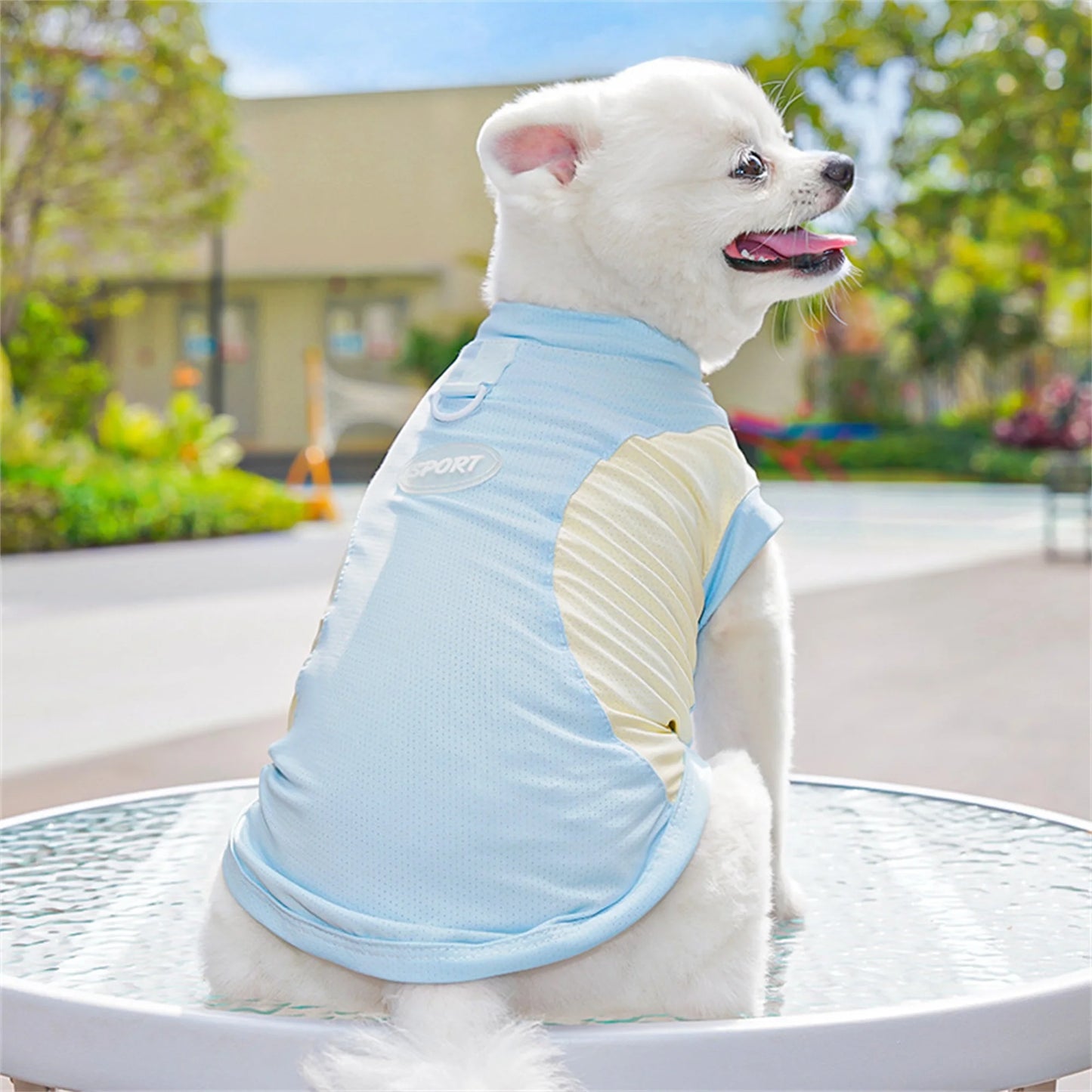 Breathable Cooling Dog T-Shirt