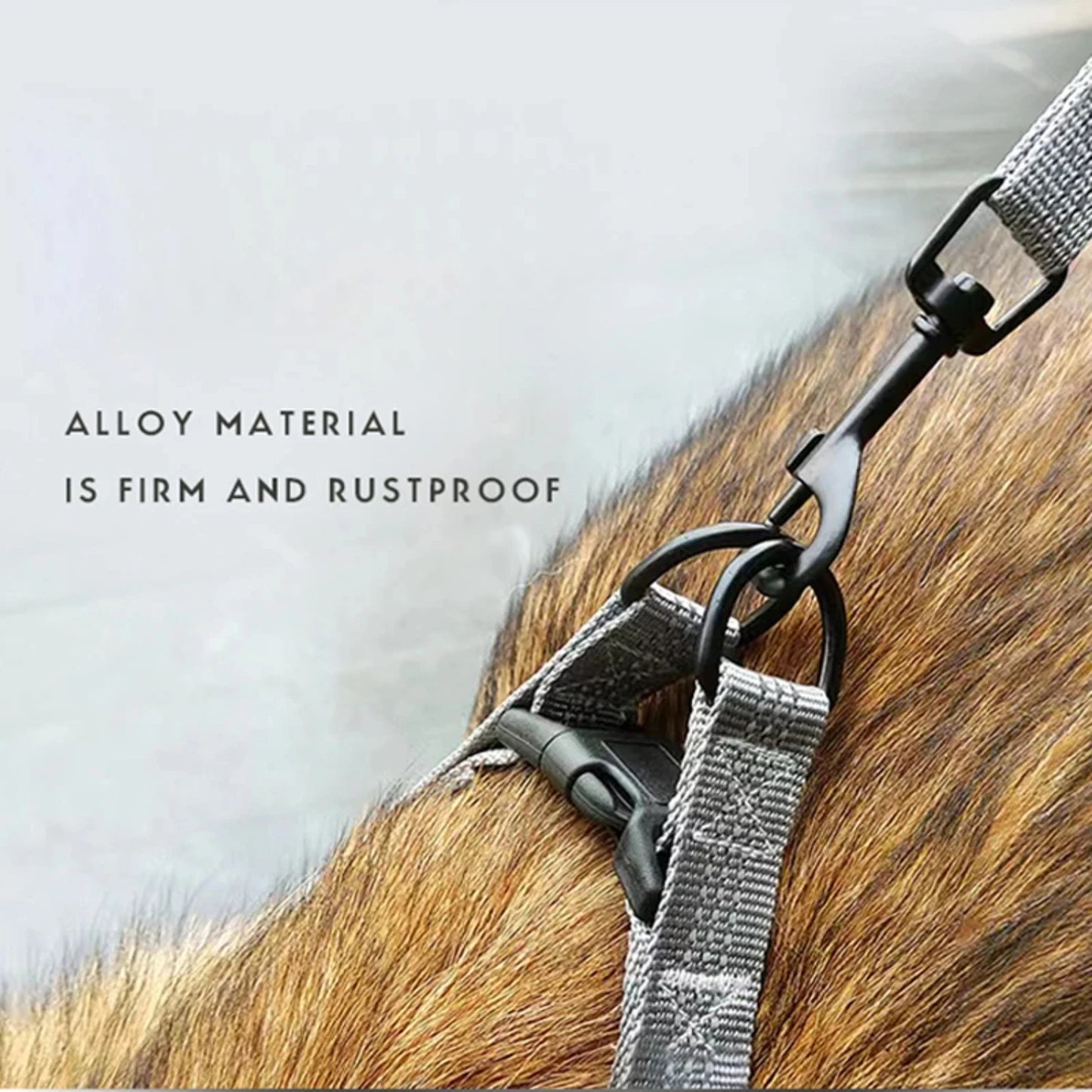 Adjustable Dog Harness