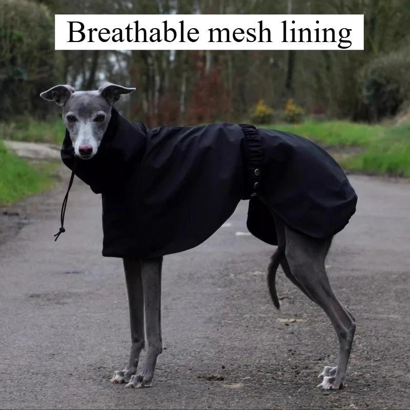 Waterproof Dog Raincoat for Outdoor Walking