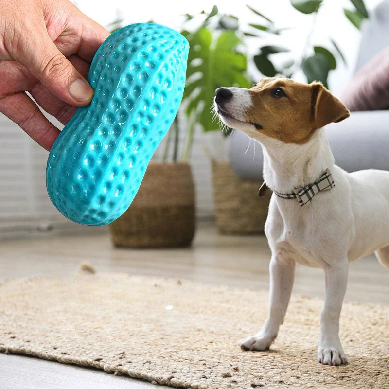 Interactive Dog Chew Toy