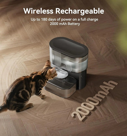 Cordless Pet Water Fountain with Wastewater Separation.