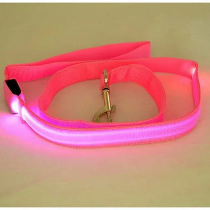 Luminous Pet Safety Leash