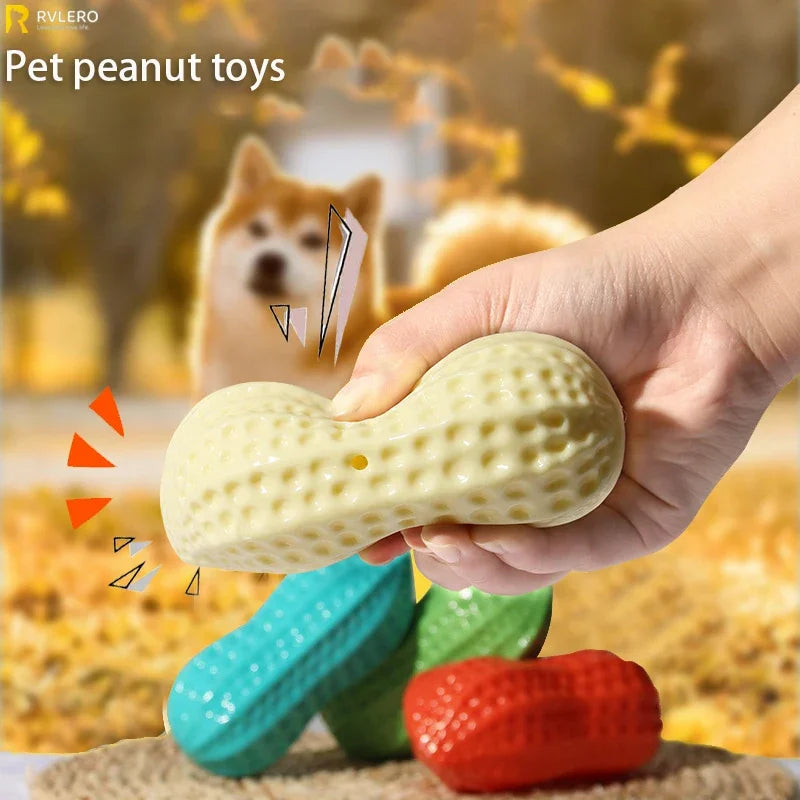 Interactive Dog Chew Toy
